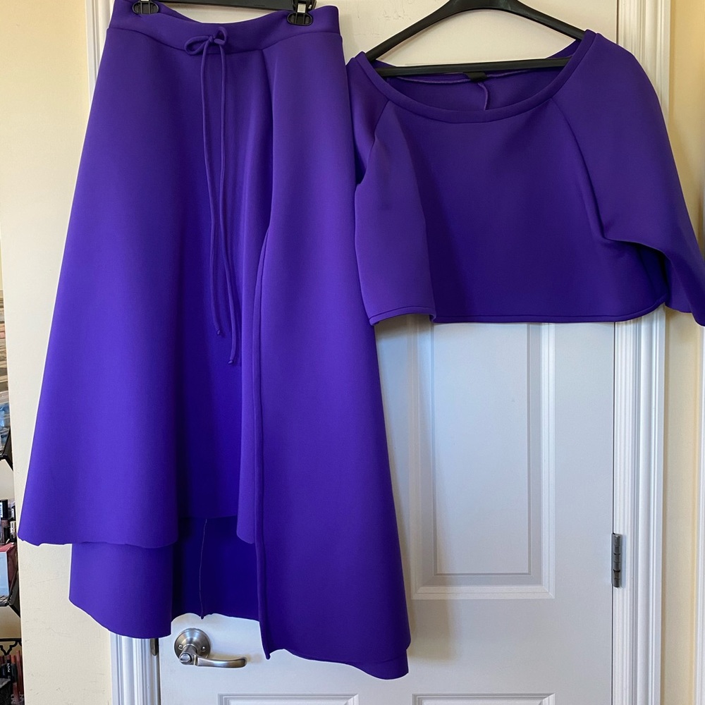 Cropped Top and Skirt Set